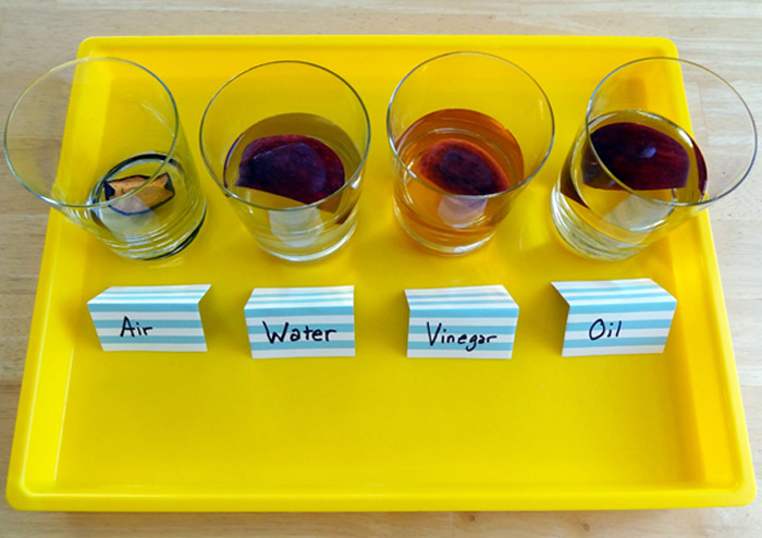 Stagging Little Zak's Academy | 4 Cool Science Activities Perfect for Preschoolers Stagging Little Zak's Academy | 4 Cool Science Activities Perfect for Preschoolers