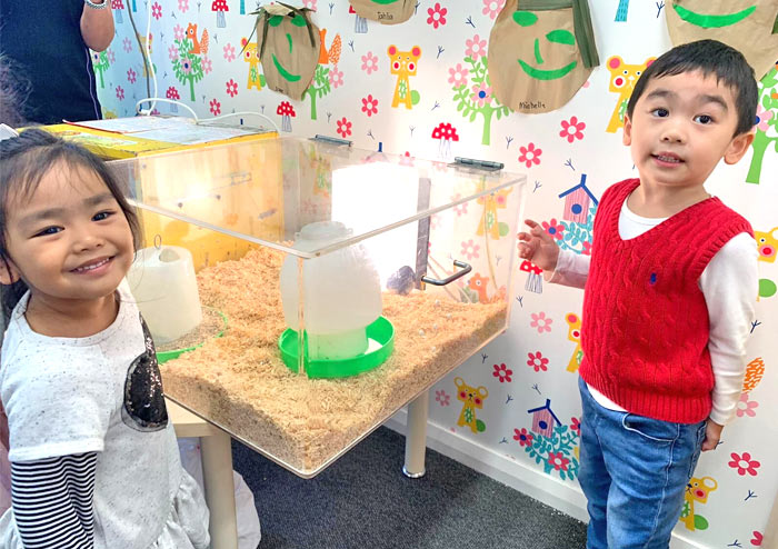 Stagging Little Zak's Academy | How Incursions and Excursions Make Education More Meaningful