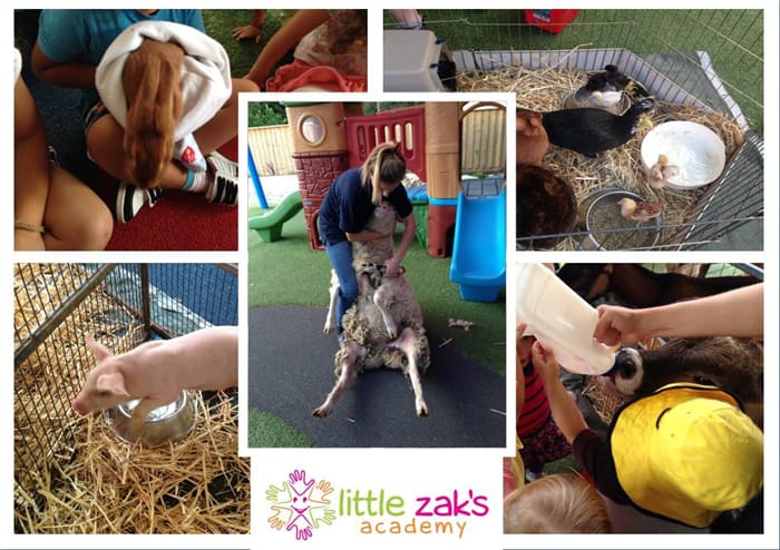 Stagging Little Zak's Academy | How to Raise a Science-Loving Child