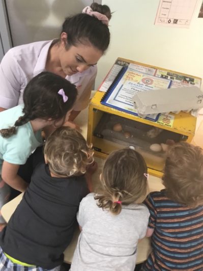 Stagging Little Zak's Academy | Easter Chicken Hatching Stagging Little Zak's Academy | Easter Chicken Hatching