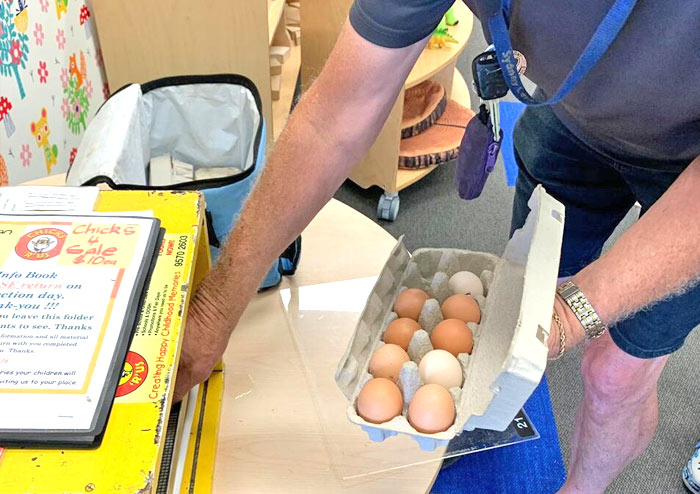 Stagging Little Zak's Academy | How Incursions and Excursions Make Education More Meaningful