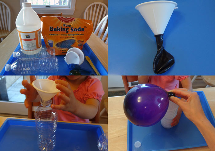 Stagging Little Zak's Academy | 4 Cool Science Activities Perfect for Preschoolers Stagging Little Zak's Academy | 4 Cool Science Activities Perfect for Preschoolers