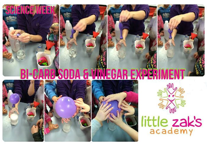 Stagging Little Zak's Academy | How to Raise a Science-Loving Child