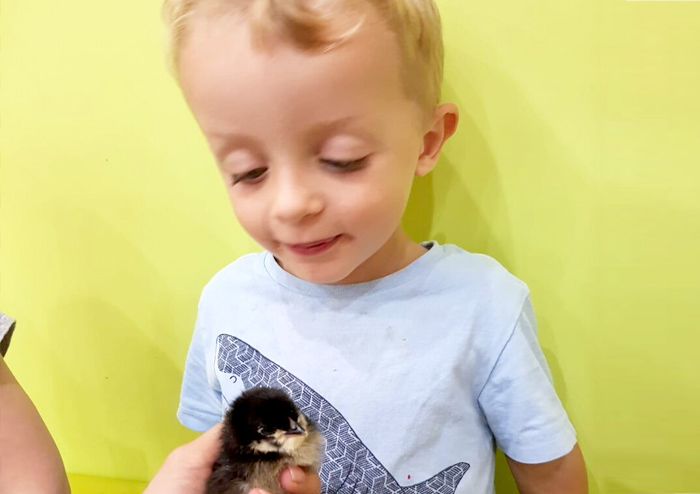 Stagging Little Zak's Academy | How Incursions and Excursions Make Education More Meaningful
