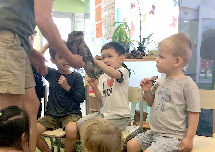 Stagging Little Zak's Academy | How Incursions and Excursions Make Education More Meaningful