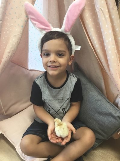 Stagging Little Zak's Academy | Easter Chicken Hatching Stagging Little Zak's Academy | Easter Chicken Hatching