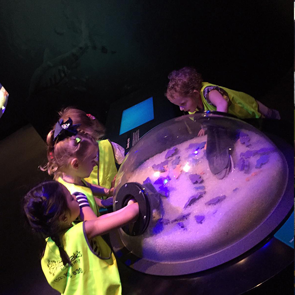 Stagging Little Zak's Academy | Little Zak's Australian Maritime Museum Excursion
