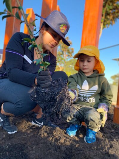 Stagging Little Zak's Academy | Garden Project at Little Zak’s Academy Brookvale Stagging Little Zak's Academy | Garden Project at Little Zak’s Academy Brookvale